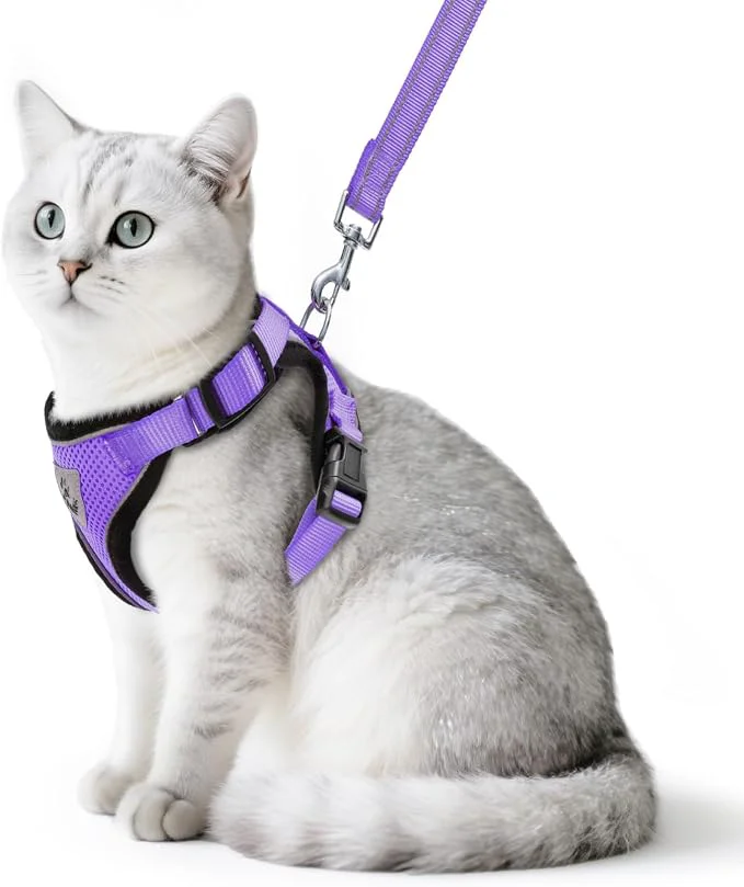 Quality PUPTECK Cat Harness and Leash Set Escape Proof Reflective Cat Walking Harness Durable