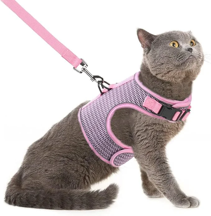 Contemporary PUPTECK Soft Mesh Cat Vest Harness and Leash Set Puppy Padded Pet Harnesses Innovative