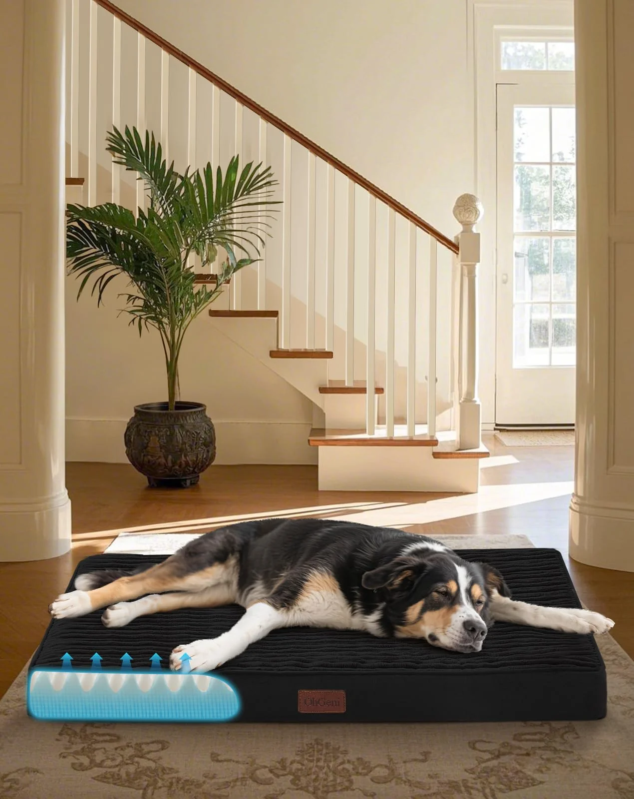 Healthy OhGeni Orthopedic Waterproof Dog Bed for Medium Large Pets — 35-Inch 25D Egg Crate Foam Washable Artisan