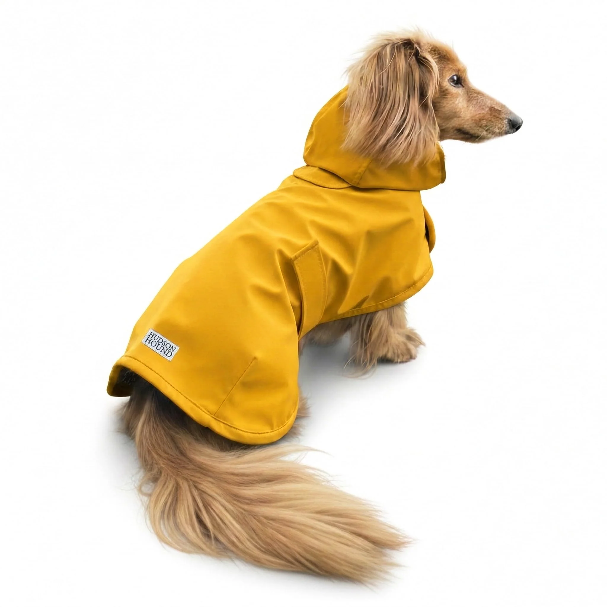 Certified HUDSON HOUND Dachshund Raincoat. Chosen for quality fits naturally into modern pet homes. Healthy