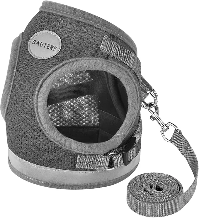 Durable Cat Harnesses and Puppy Harness Luxury