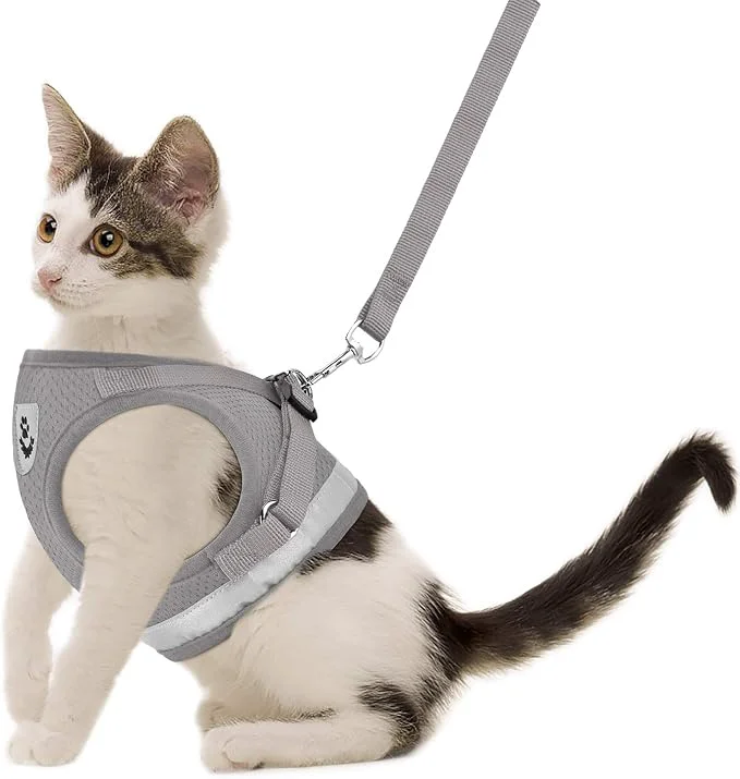 User-Friendly Cat Harnesses and Puppy Harness High-Performance