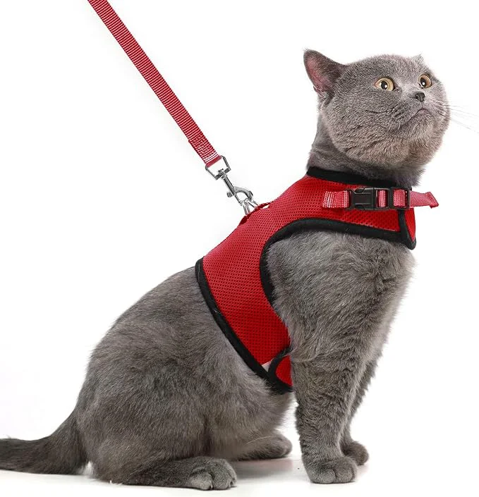 Pure PUPTECK Soft Mesh Cat Vest Harness and Leash Set Puppy Padded Pet Harnesses Authentic