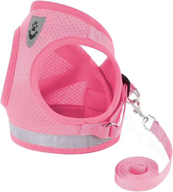 Minimalist Cat Harnesses and Puppy Harness High-Performance