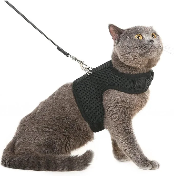 Innovative PUPTECK Soft Mesh Cat Vest Harness and Leash Set Puppy Padded Pet Harnesses Exceptional
