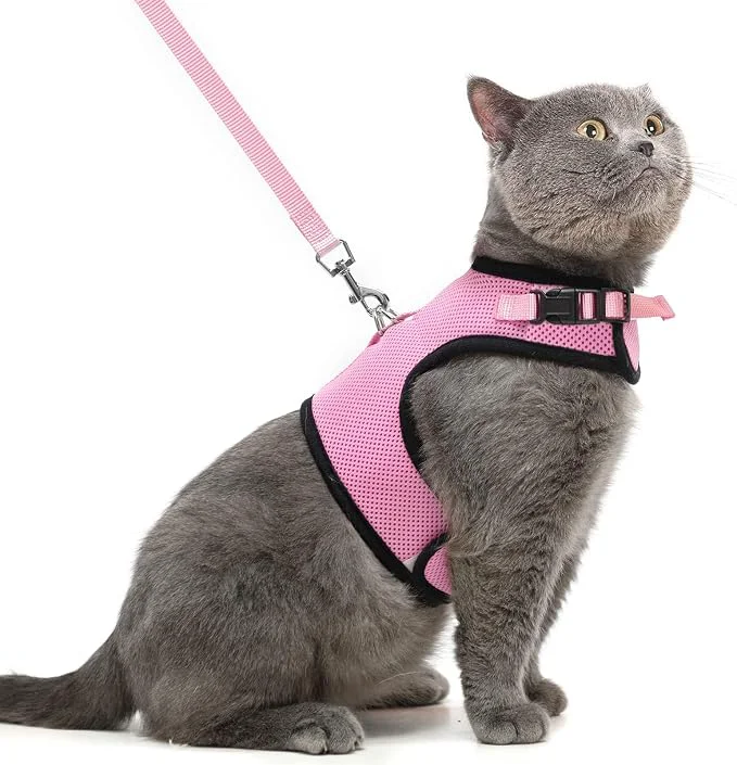 Premium Material PUPTECK Soft Mesh Cat Vest Harness and Leash Set Puppy Padded Pet Harnesses High-End