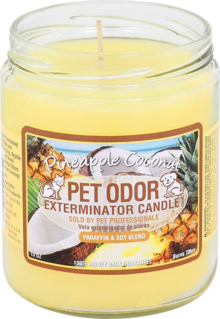 Efficient Specialty Pet Products Pet Odor Exterminator Candle – Pineapple Coconut Pack of 2 Green