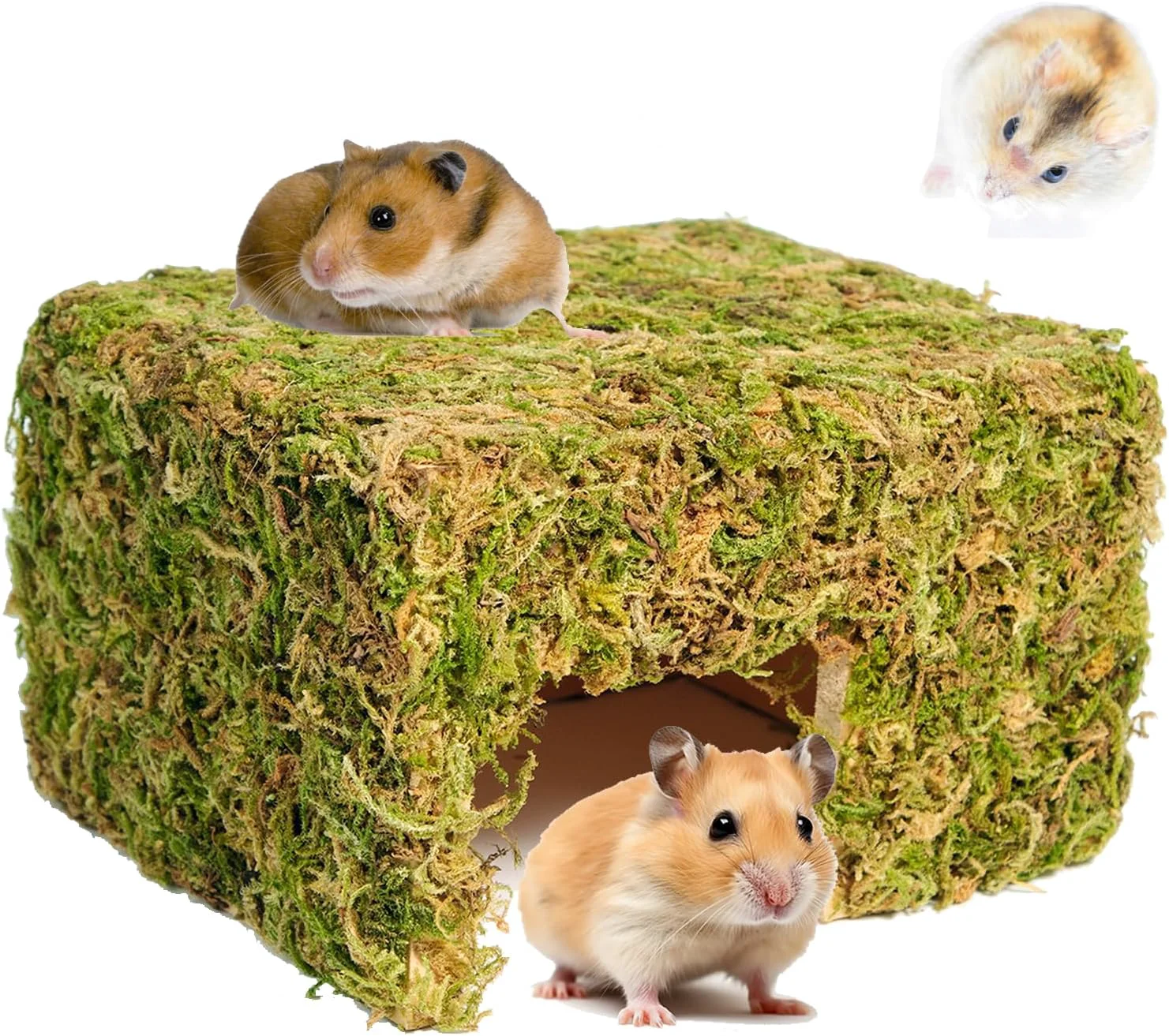 Sustainable Hamster Hideout Large Natural Moss First-Class