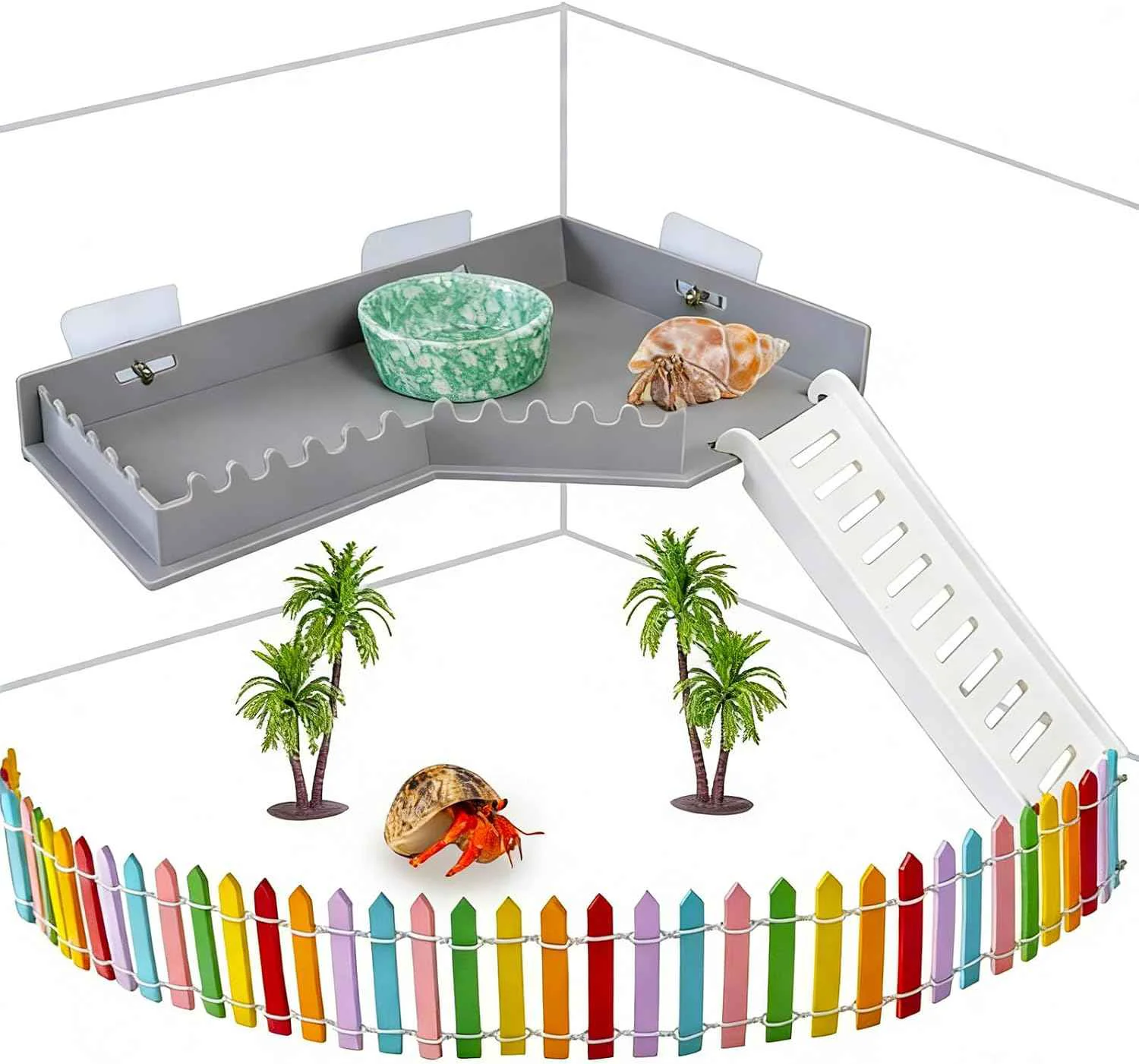Unique Hermit Crab and Reptile Platform with Ladder Certified