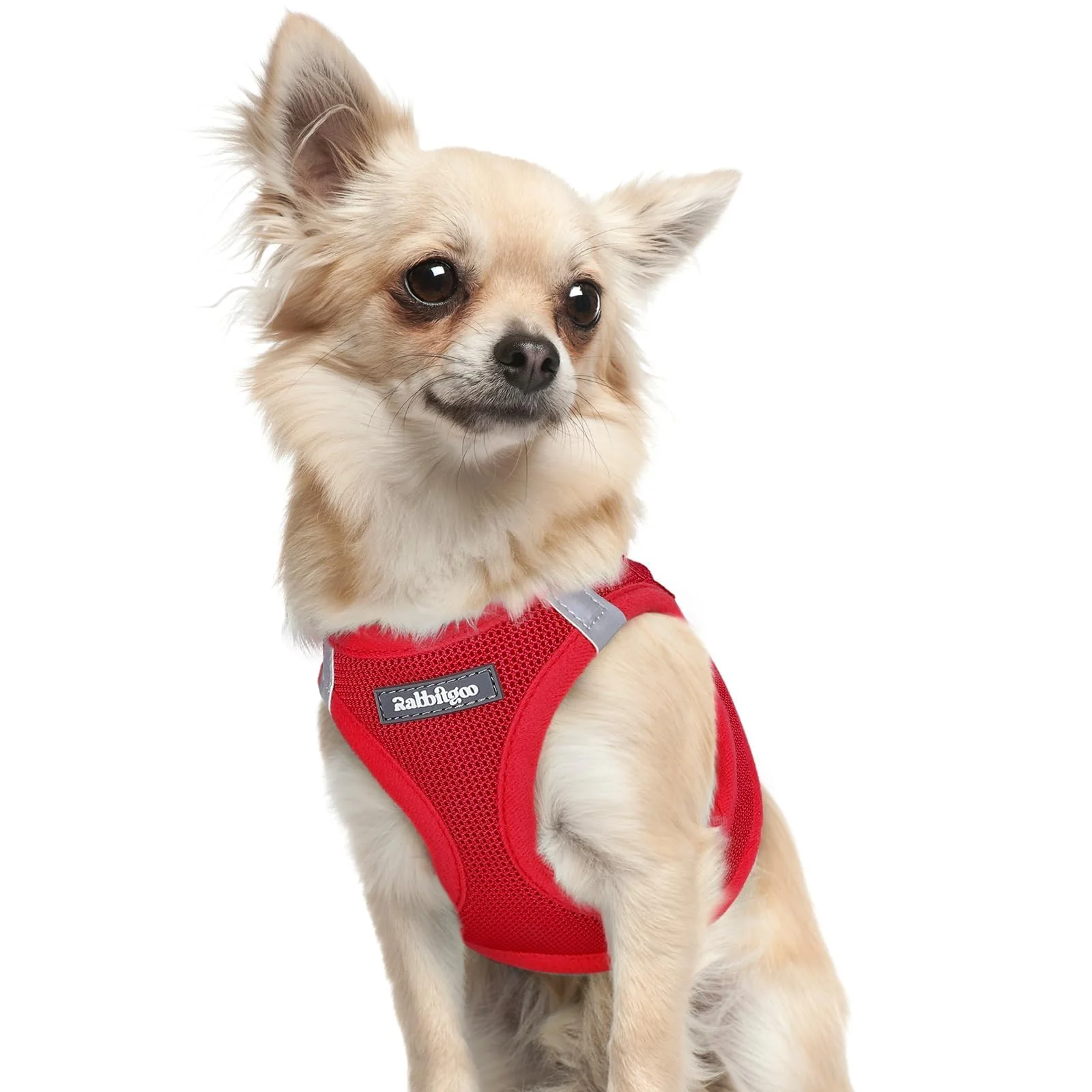 Fashionable rabbitgoo Small Dog Harness XXXS - Step-in Soft Mesh Vest with Reflective Buckle Red Exceptional