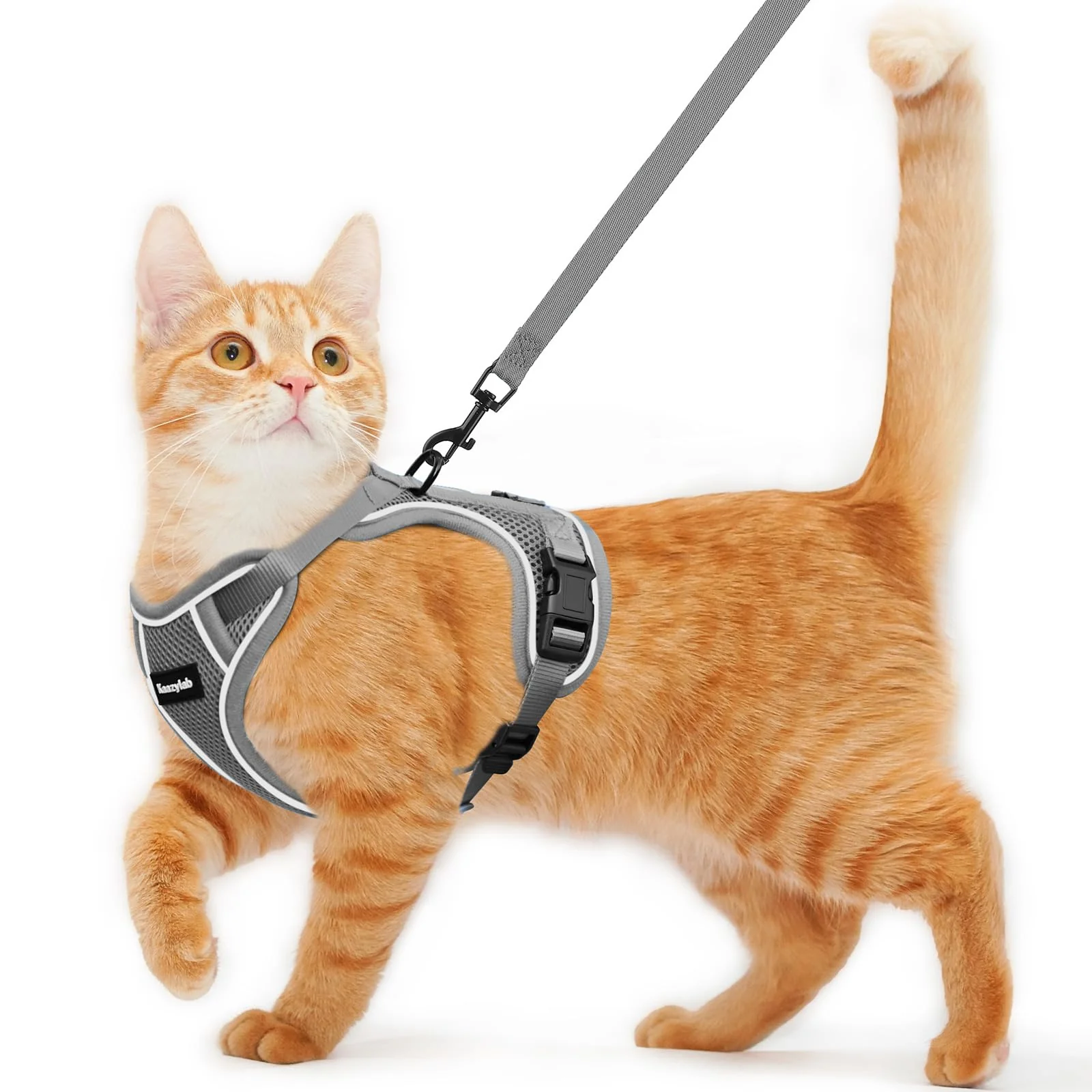 Long-Lasting Kaazylab Cat Harness and Leash – Escape-Proof Adjustable Breathable Vest Grey S Crafted