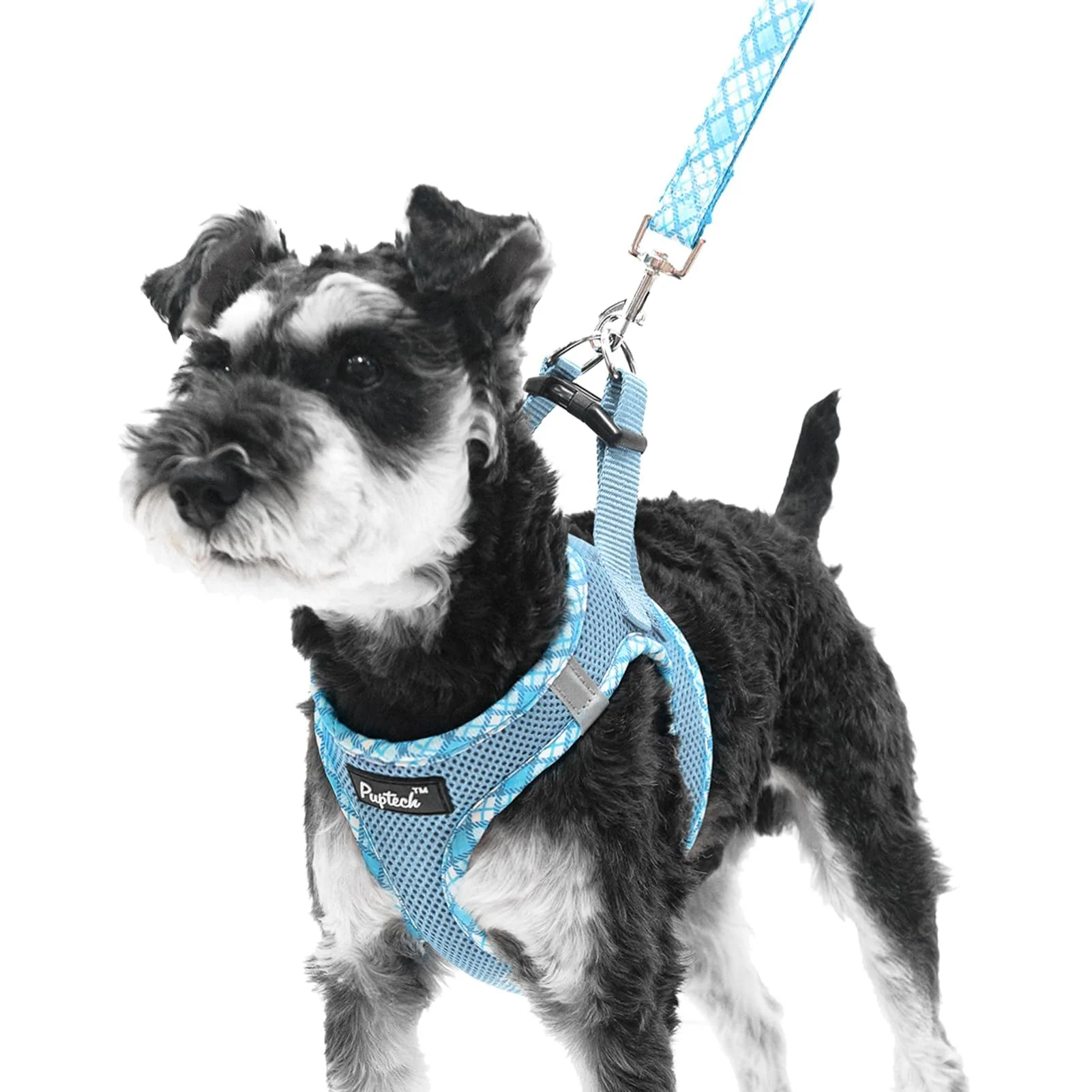 Enhanced PUPTECK Dog Harness Leash Set — No-Pull Step-In Reflective at Night Sky Blue XS Smooth