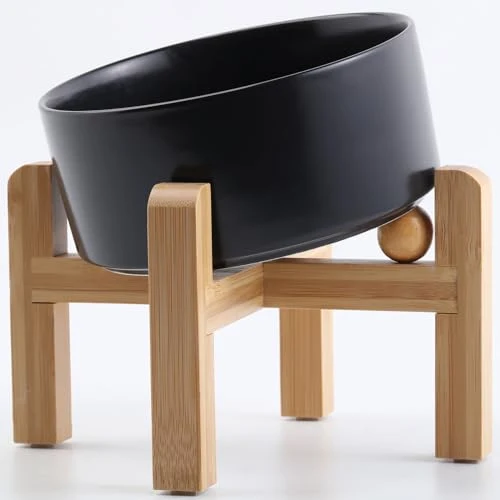 Solid Petygooing Black d Tilted Ceramic Dog Bowl – 15-Degree Tilt for Small Breeds with Stand Detailed