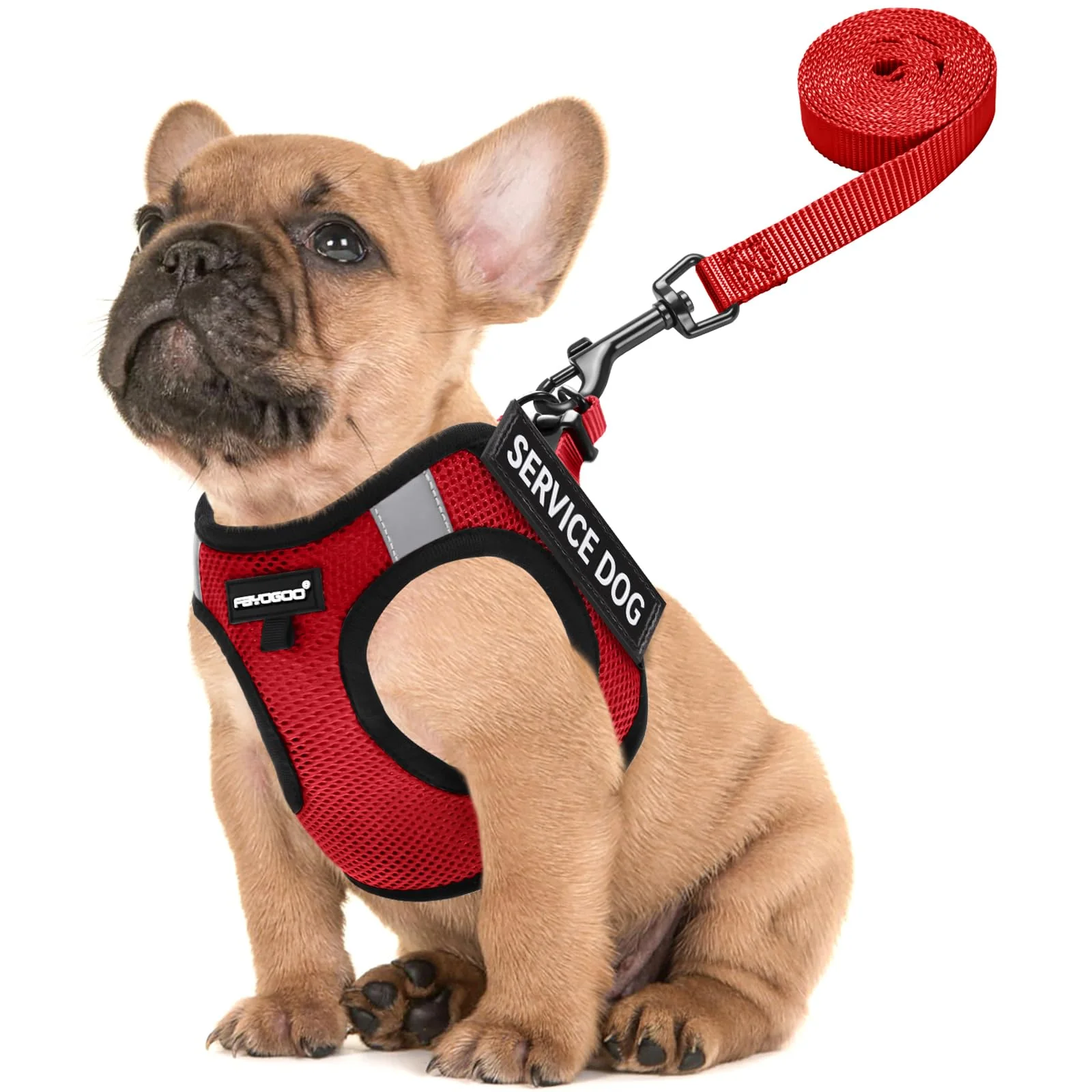 Natural FAYOGOO Service Dog Vest for Small Dogs — Lightweight Harness with 6 Removable Patches Crafted